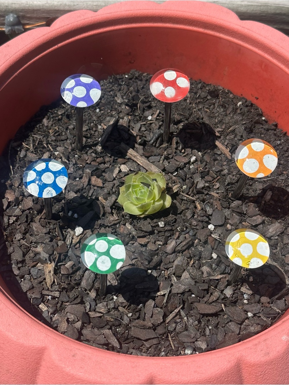 Handmade Handpainted Garden/Plater Pot Mushrooms 6 piece